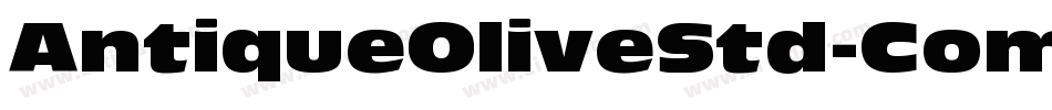 AntiqueOliveStd-Compact字体转换