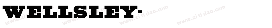 WELLSLEY字体转换