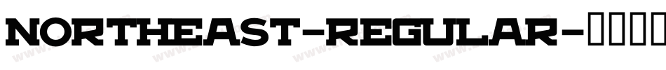 NorthEast-Regular字体转换