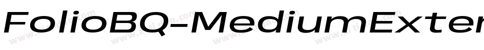 FolioBQ-MediumExtendedItalic字体转换