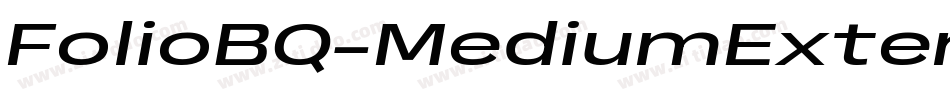 FolioBQ-MediumExtendedItalic字体转换