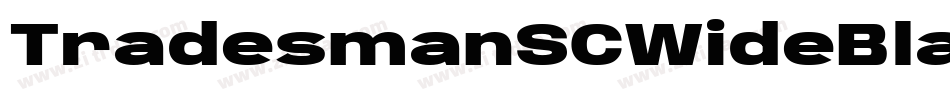 TradesmanSCWideBlack字体转换