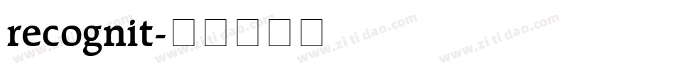 recognit字体转换