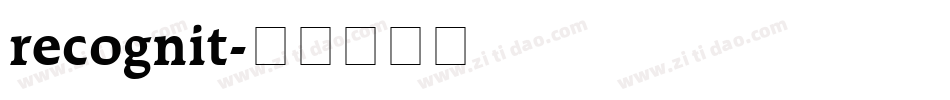 recognit字体转换