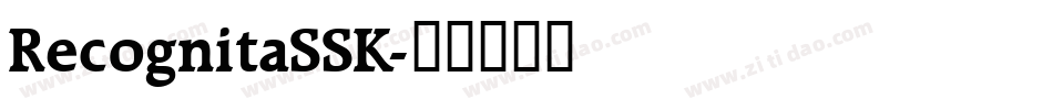 RecognitaSSK字体转换