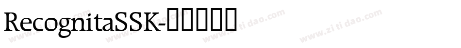 RecognitaSSK字体转换