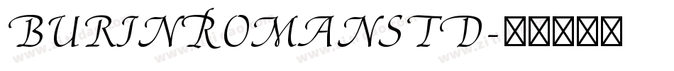 BurinRomanStd字体转换