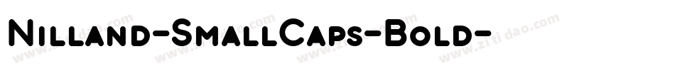 Nilland-SmallCaps-Bold字体转换