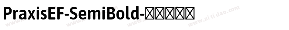 PraxisEF-SemiBold字体转换
