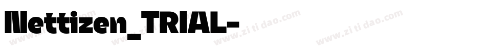 Nettizen_TRIAL字体转换 Nettizen_TRIAL字体转换