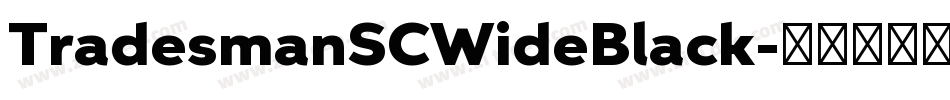 TradesmanSCWideBlack字体转换