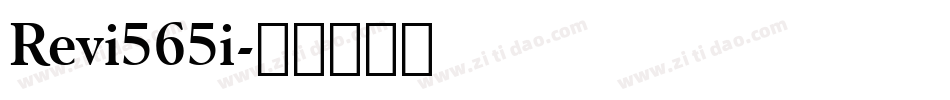 Revi565i字体转换