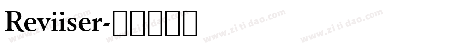Reviiser字体转换