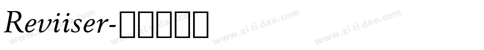 Reviiser字体转换