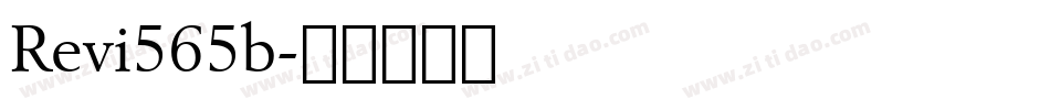 Revi565b字体转换