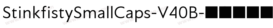 StinkfistySmallCaps-V40B字体转换