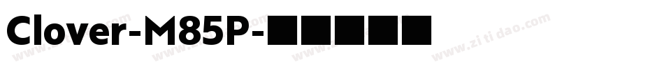 Clover-M85P字体转换