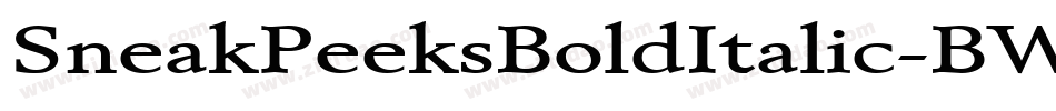 SneakPeeksBoldItalic-BWLB8字体转换
