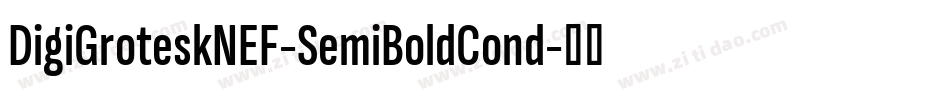 DigiGroteskNEF-SemiBoldCond字体转换