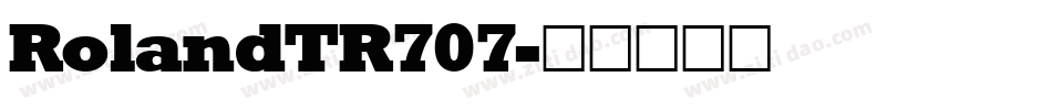 RolandTR707字体转换