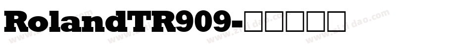 RolandTR909字体转换