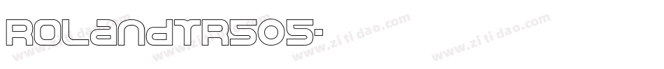 RolandTR505字体转换