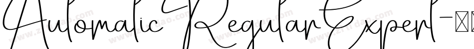 AutomaticRegularExpert字体转换