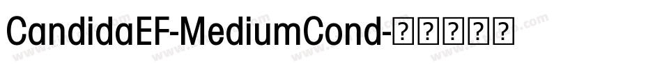 CandidaEF-MediumCond字体转换