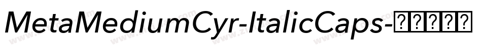 MetaMediumCyr-ItalicCaps字体转换