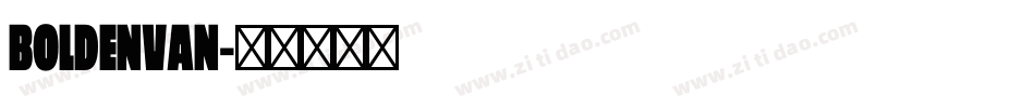 BoldenVan字体转换