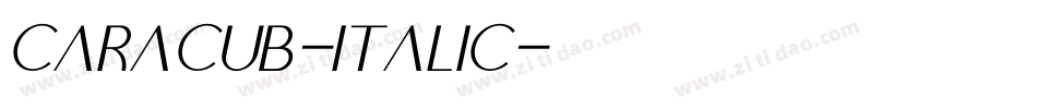 Caracub-Italic字体转换