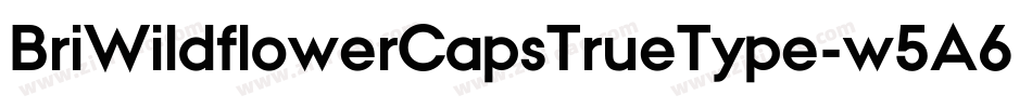 BriWildflowerCapsTrueType-w5A6字体转换