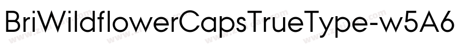 BriWildflowerCapsTrueType-w5A6字体转换