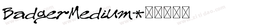 BadgerMedium字体转换