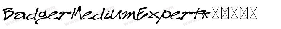 BadgerMediumExpert字体转换