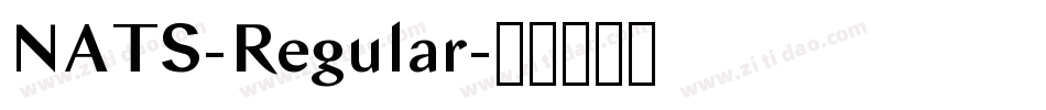 NATS-Regular字体转换