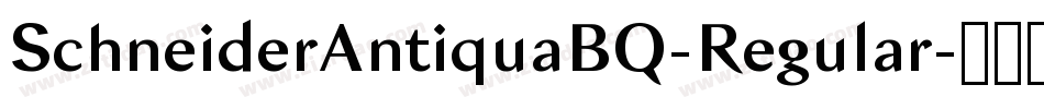 SchneiderAntiquaBQ-Regular字体转换