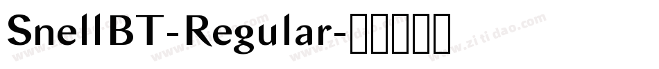SnellBT-Regular字体转换