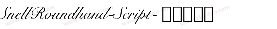SnellRoundhand-Script字体转换