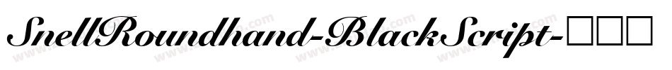 SnellRoundhand-BlackScript字体转换