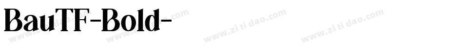 BauTF-Bold字体转换