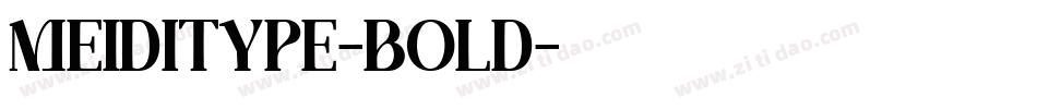 MEIDITYPE-BOLD字体转换