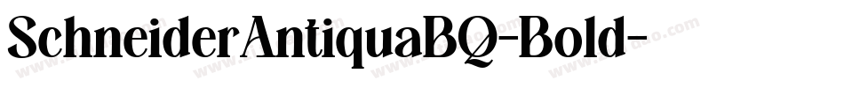SchneiderAntiquaBQ-Bold字体转换