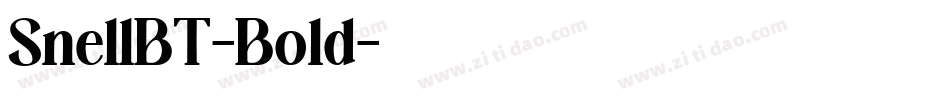 SnellBT-Bold字体转换