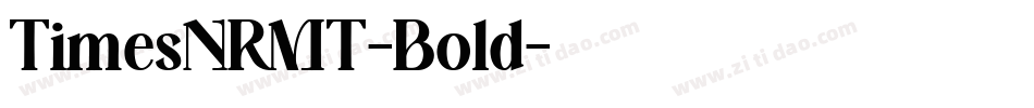 TimesNRMT-Bold字体转换