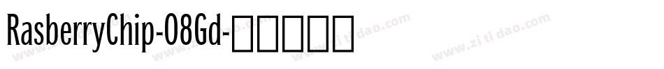 RasberryChip-O8Gd字体转换