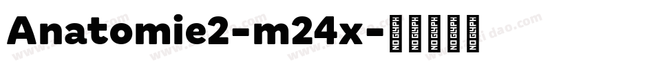 Anatomie2-m24x字体转换