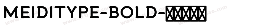 MEIDITYPE-BOLD字体转换