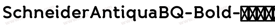 SchneiderAntiquaBQ-Bold字体转换