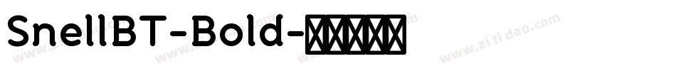 SnellBT-Bold字体转换
